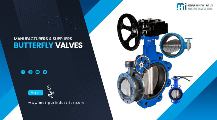 Butterfly Valve Wafer Type vs Lug Type